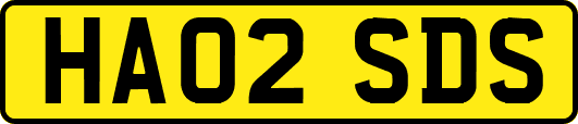 HA02SDS