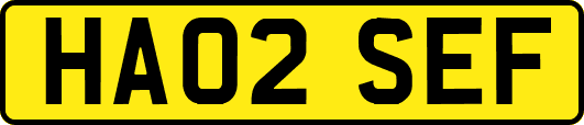 HA02SEF