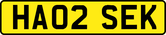 HA02SEK