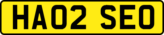 HA02SEO