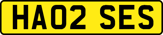 HA02SES