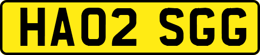 HA02SGG