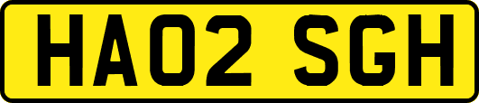 HA02SGH
