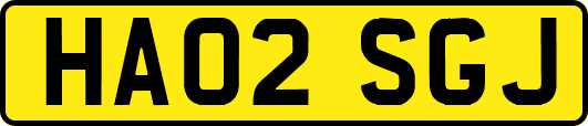 HA02SGJ