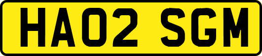 HA02SGM
