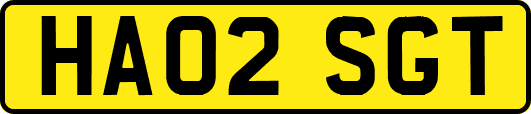HA02SGT