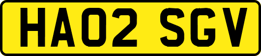 HA02SGV