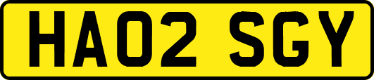 HA02SGY