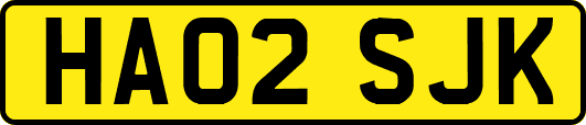 HA02SJK