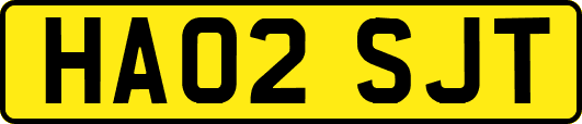 HA02SJT