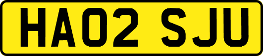 HA02SJU
