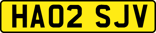 HA02SJV