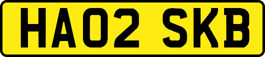 HA02SKB