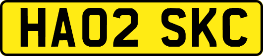 HA02SKC