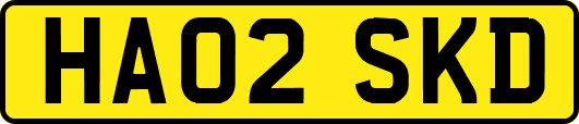 HA02SKD