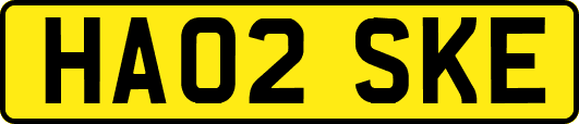 HA02SKE