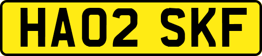 HA02SKF