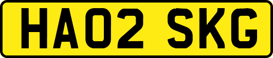 HA02SKG