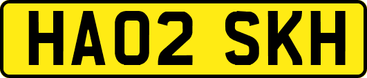 HA02SKH