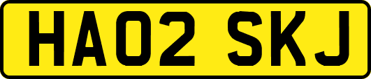 HA02SKJ
