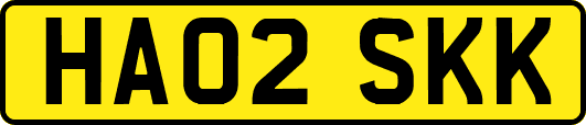 HA02SKK