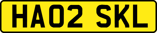 HA02SKL