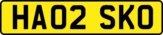 HA02SKO