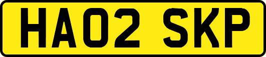 HA02SKP