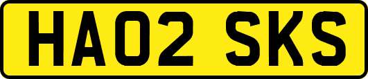 HA02SKS