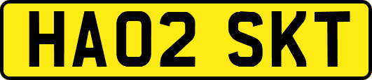 HA02SKT