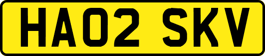 HA02SKV