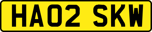 HA02SKW