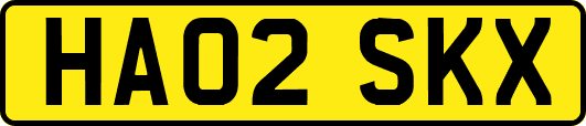 HA02SKX