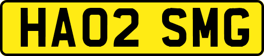 HA02SMG