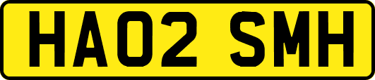 HA02SMH