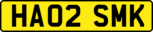 HA02SMK