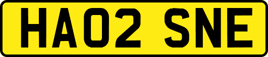 HA02SNE