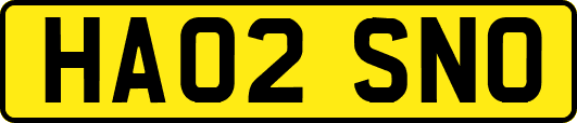HA02SNO