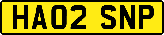 HA02SNP