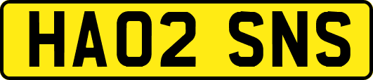 HA02SNS