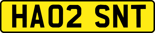 HA02SNT