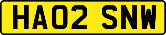 HA02SNW