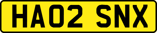 HA02SNX