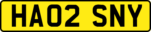 HA02SNY