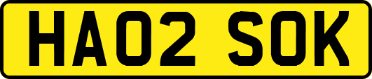 HA02SOK