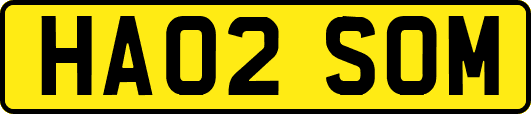 HA02SOM