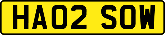 HA02SOW