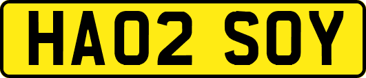 HA02SOY