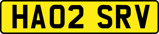HA02SRV