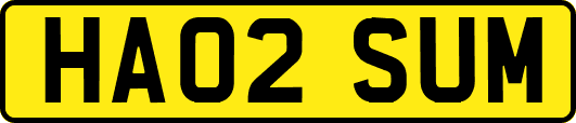 HA02SUM
